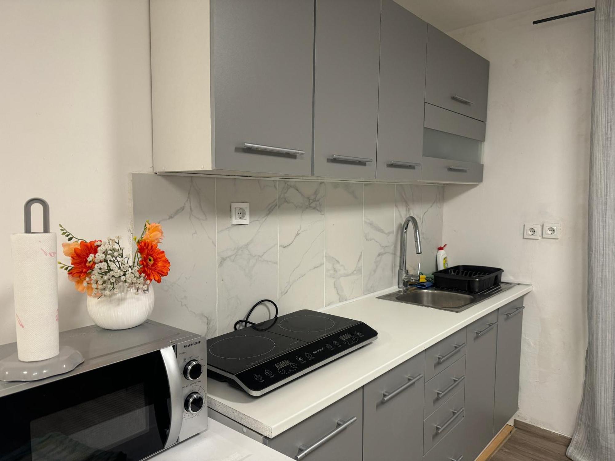 Apartments Zupan Шенчур Екстер'єр фото